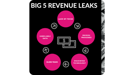 big 5 revenue leaks